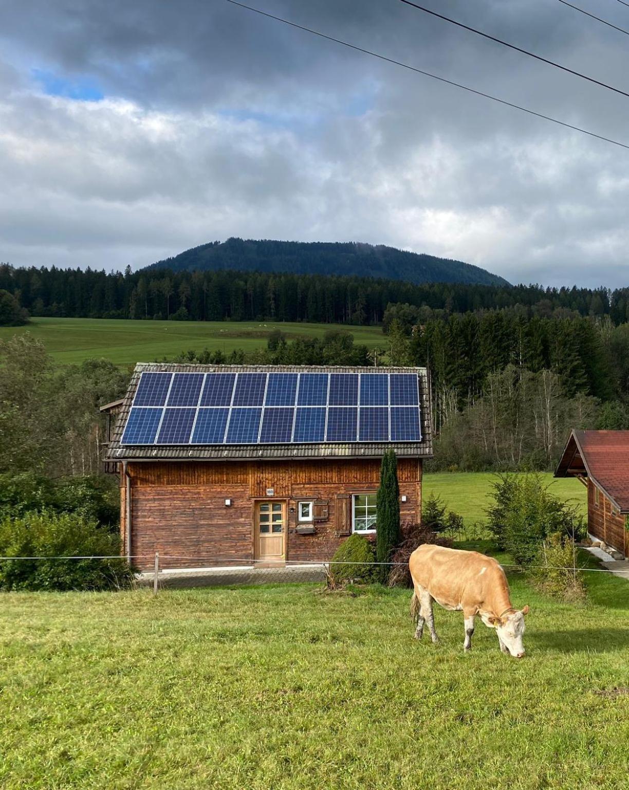 Ferienhaus In Mariahof Kültér fotó